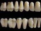 Zahnreihe